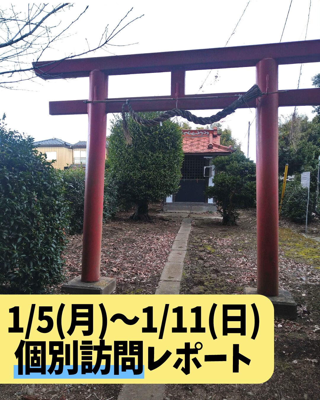 個別訪問レポート　1/5（月）～1/11（日）