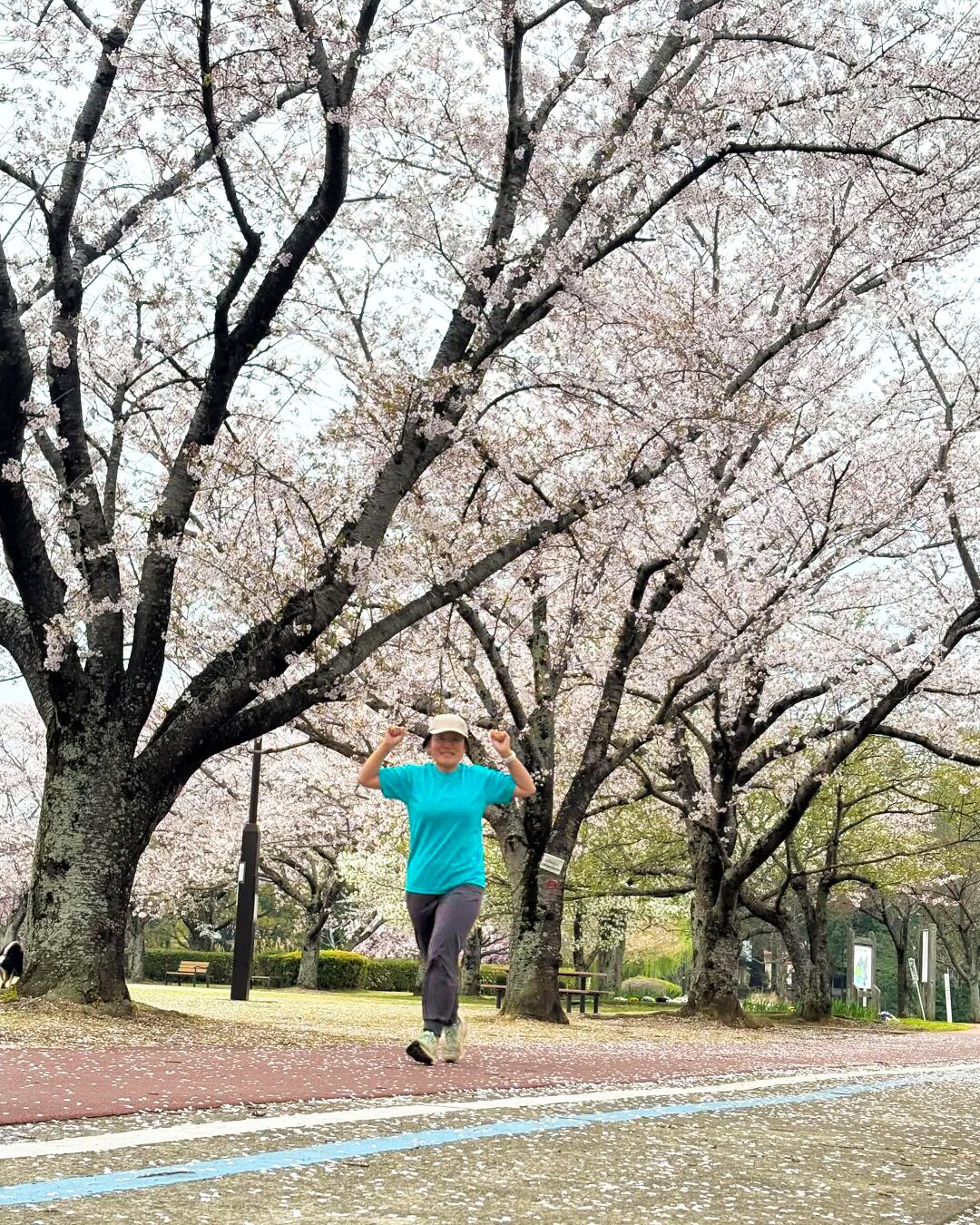 お花見パークランへ