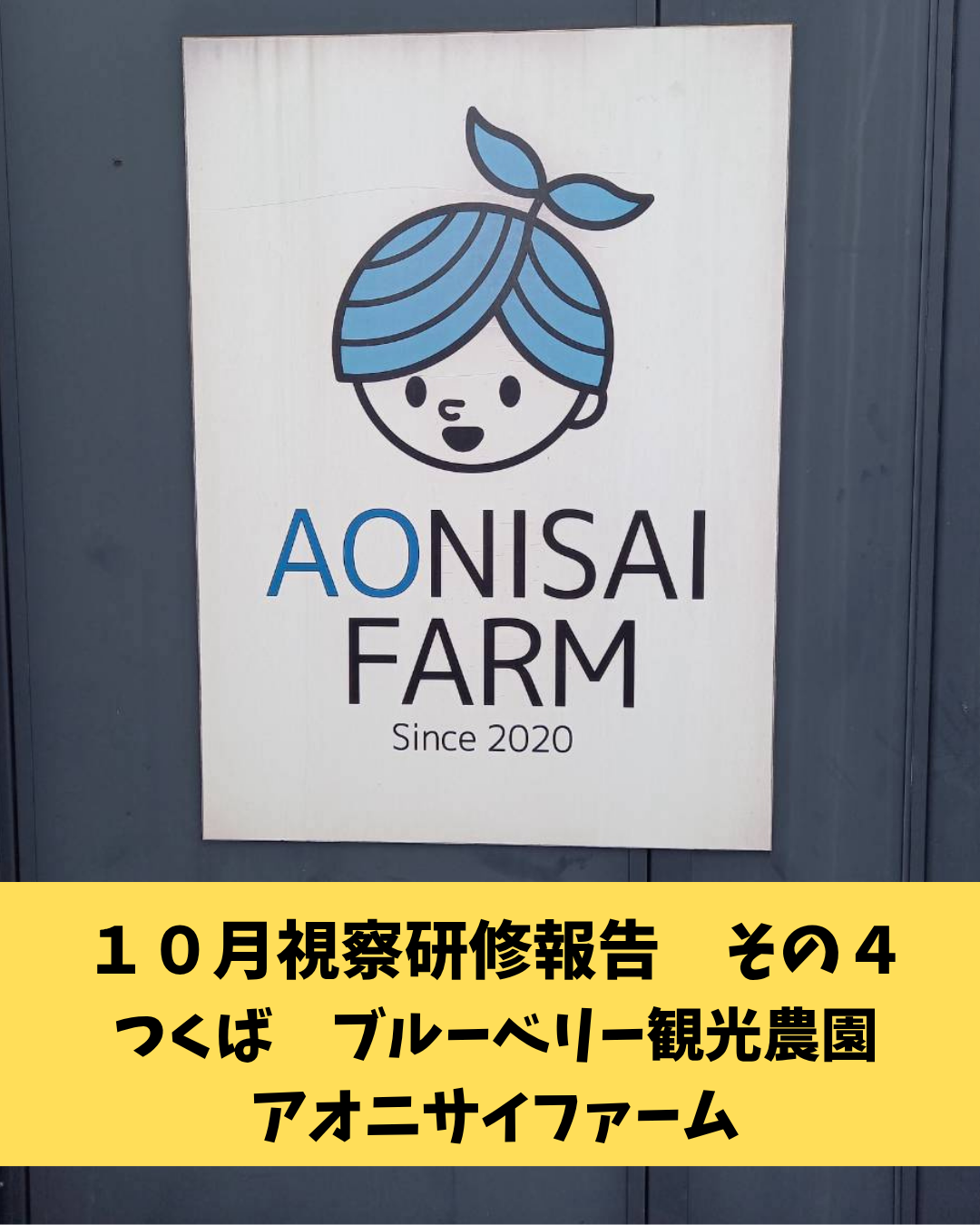 １０月視察研修報告　その４　茨城県つくば市　「アオニサイファーム」